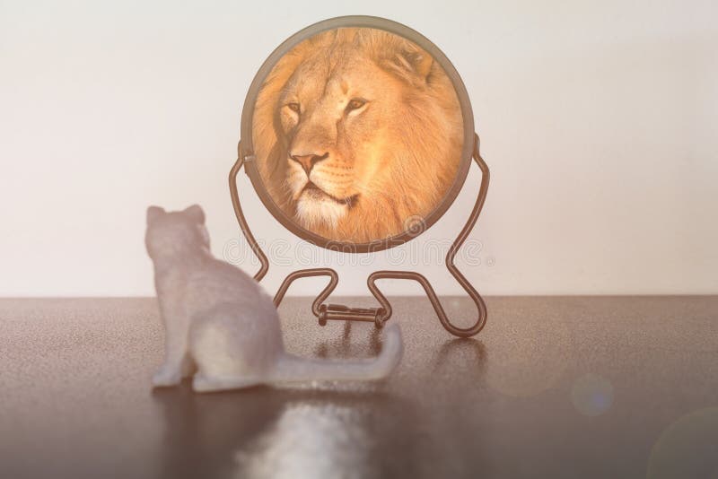 Kitten kijkt in de spiegel en ziet zichzelf terugzien als een leeuw. zelfvertrouwen. zakelijke of persoonlijke groei