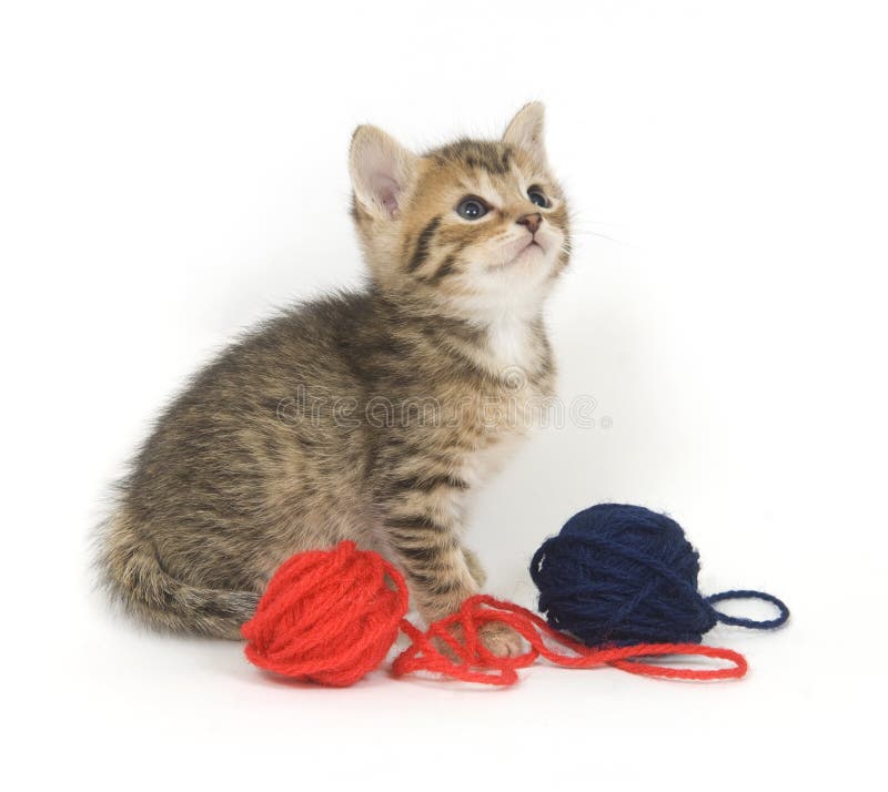 Kitten playing with yarn