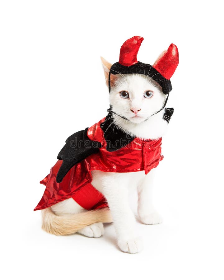 Kitten Wearing Devil Halloween Costume images libres de droits Kitten Wearing Devil Halloween Costume images libres de droits