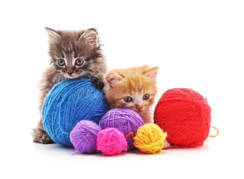 Kittens with balls of yarn royalty free stock photography
