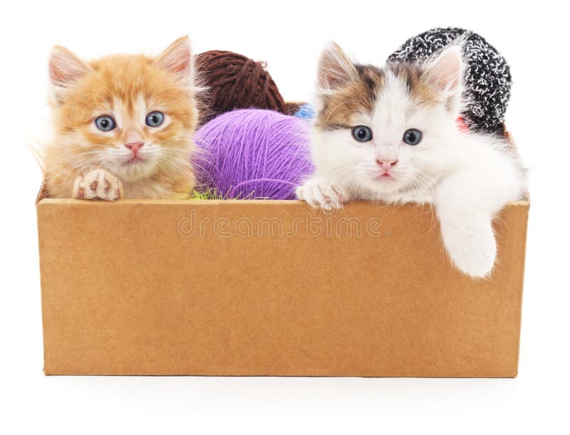 Kittens and colorful balls in the box. stock photos