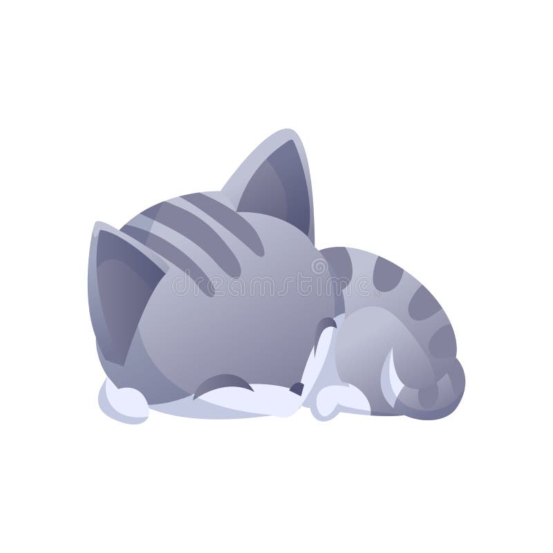 Kitty vector illustration. House domestic cat in position and activitie. The cat is sleeping.