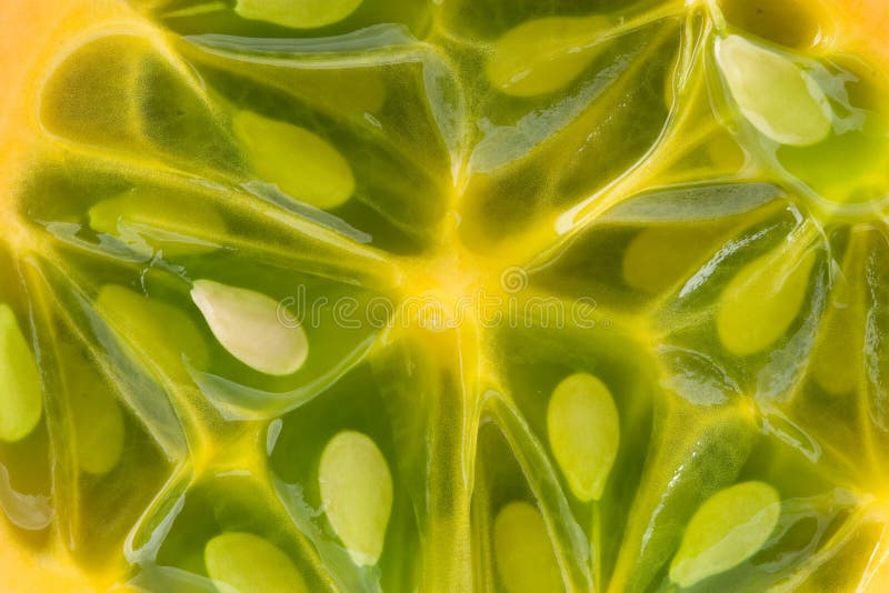 Kiwano flesh macro