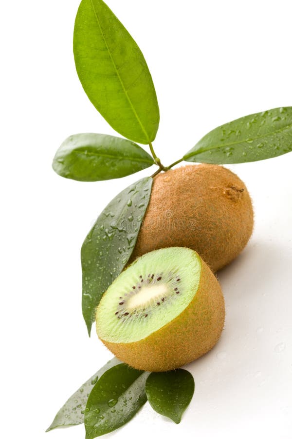 Kiwi