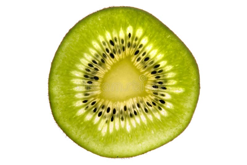 Kiwi