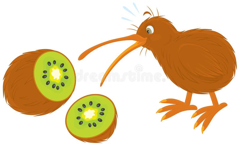 Kiwi royalty free illustration