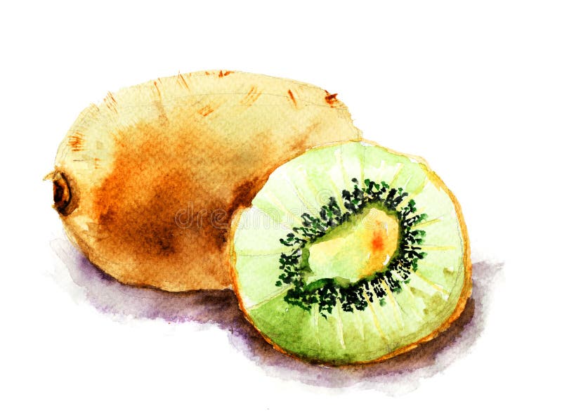 Kiwi royalty illustrazione gratis