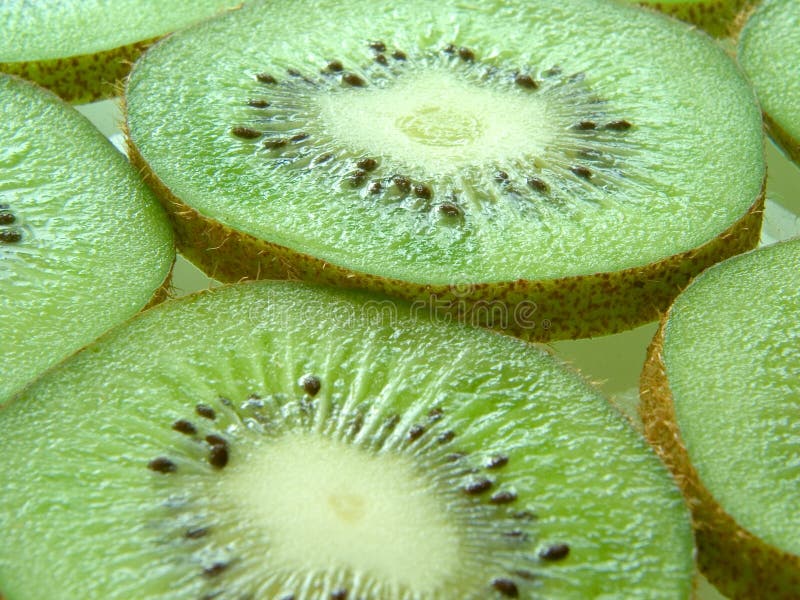 Kiwi 4