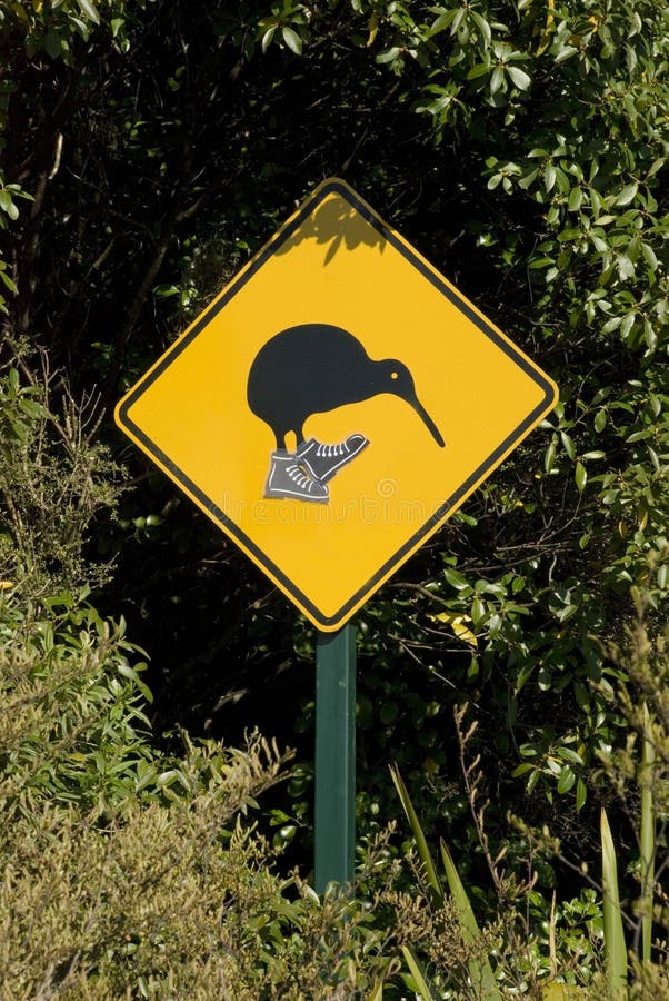 Kiwi crossing stock photography Kiwi crossing stock photography