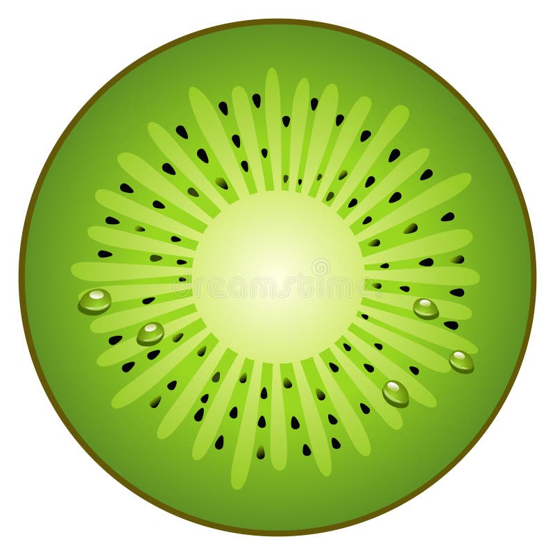 Kiwi de fruit d'en demi-cercle illustration stock Kiwi de fruit d'en demi-cercle illustration stock