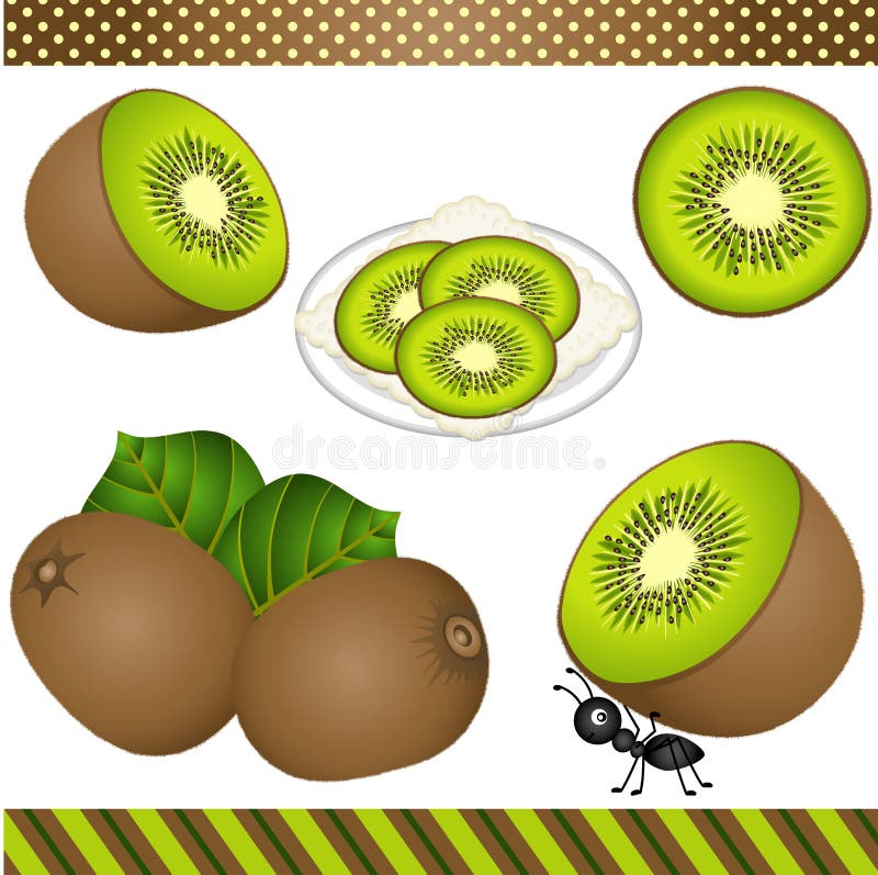 Download Kiwi Digital Clipart ilustración del vector. Ilustración de historieta - 44855901