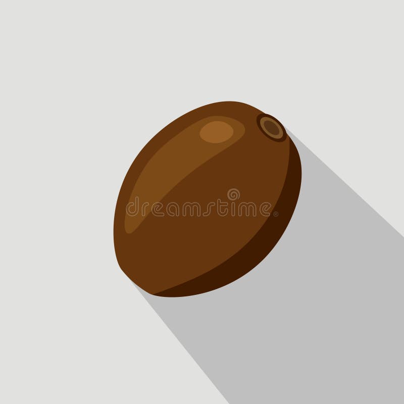Kiwi Flat Icon lizenzfreie abbildung Kiwi Flat Icon lizenzfreie abbildung