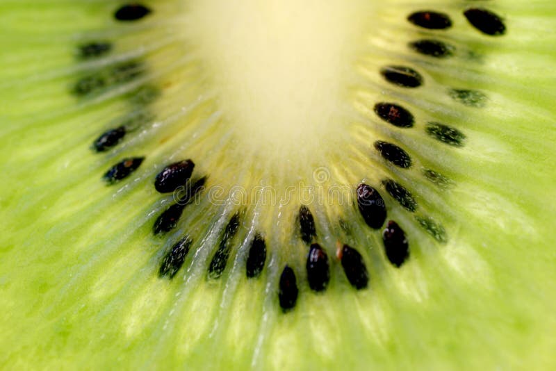 Kiwi fresco imágenes de archivo libres de regalías