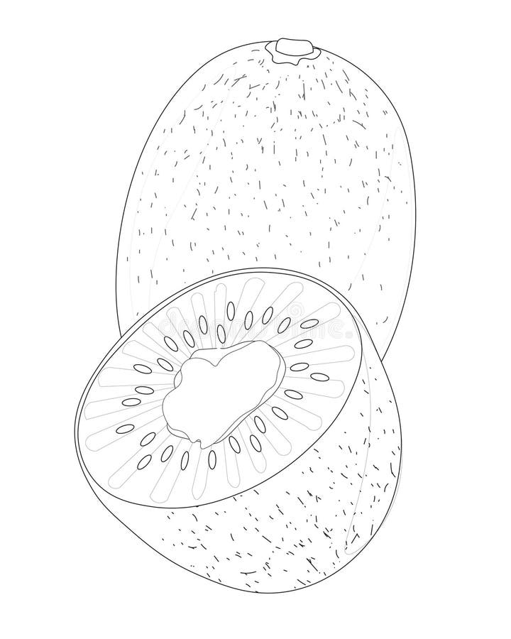 Kiwi Frui - Disegno Vector illustrazione di stock