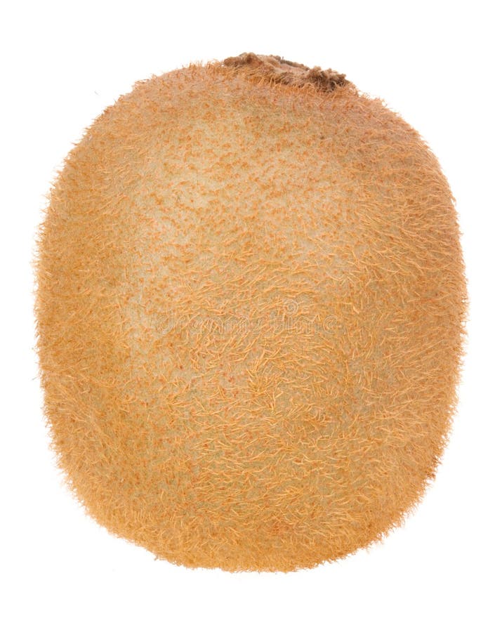 Kiwi Fruit. Isolated on white background Kiwi Fruit. Isolated on white background
