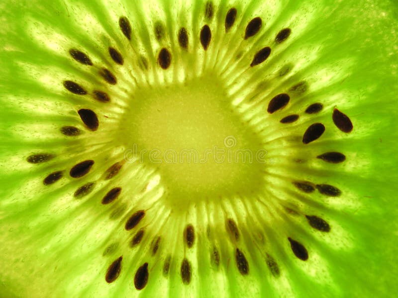 Kiwi Fruit - close-up