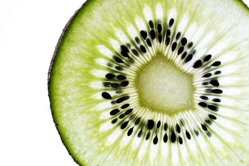 Kiwi Fruit