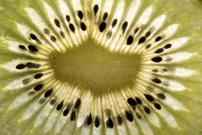 Kiwi fruit