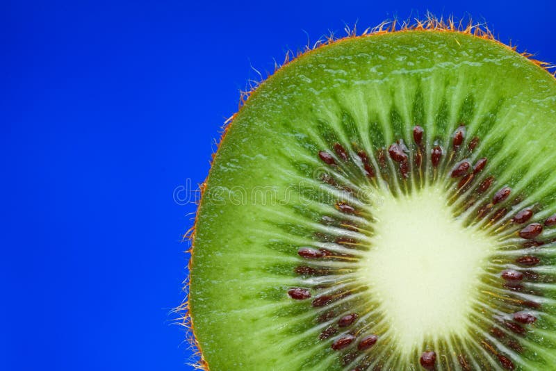Kiwi Fruit Inside stock photo. Image of food, seeds, vitamin 17550342