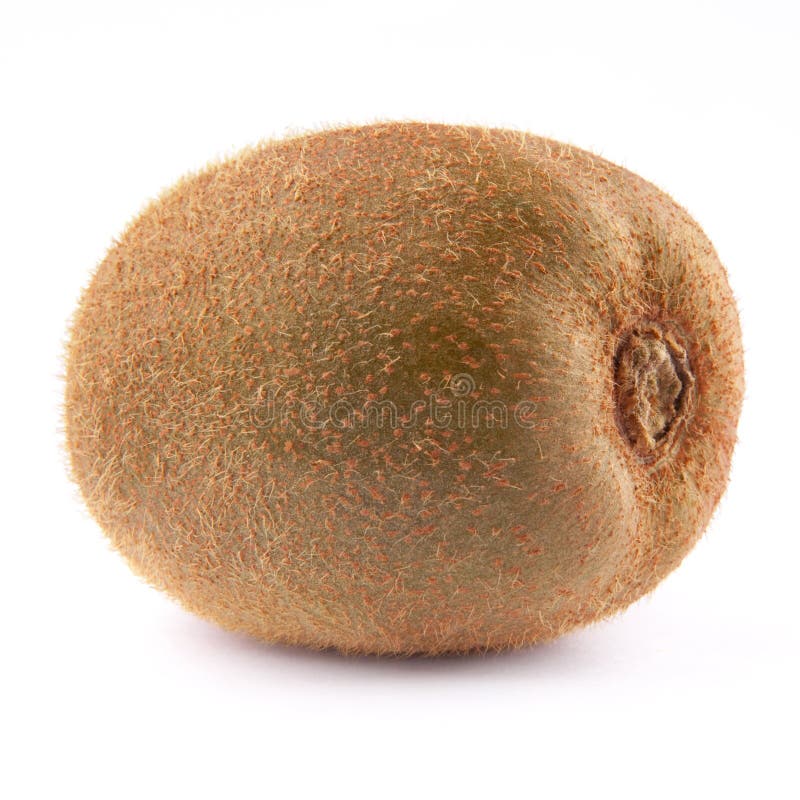 Kiwi fruit isolated stock image. Image of fresh, green 19764465