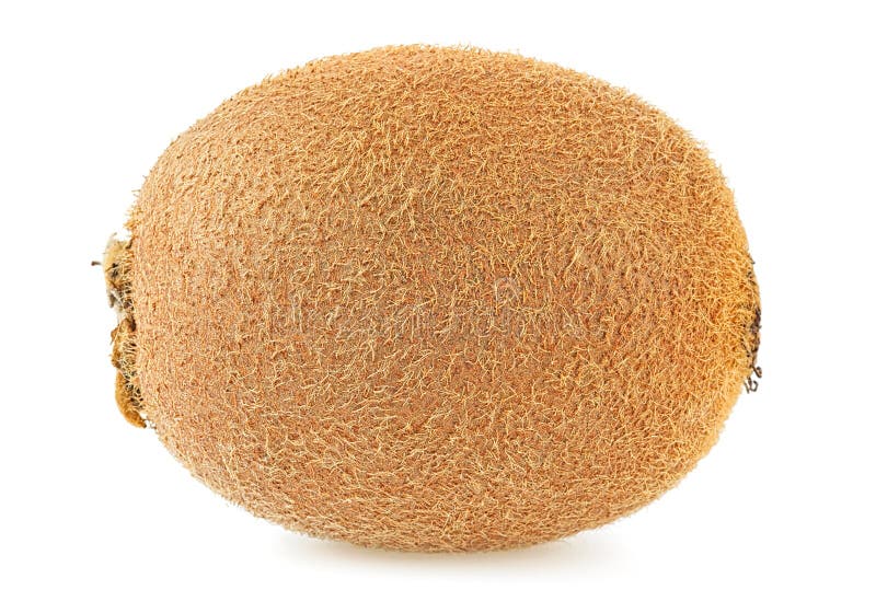 Kiwi fruit isolated on white background royalty free stock photography