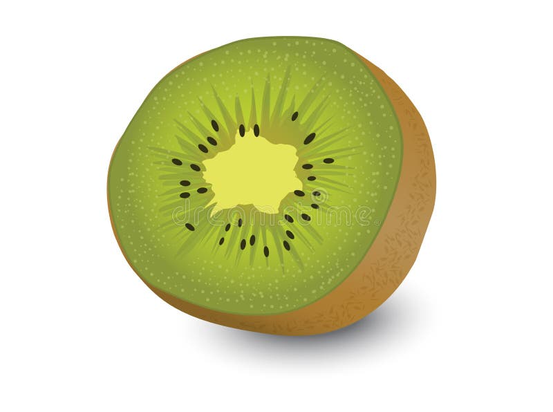 Kiwi fruit, kiwi fruit white background