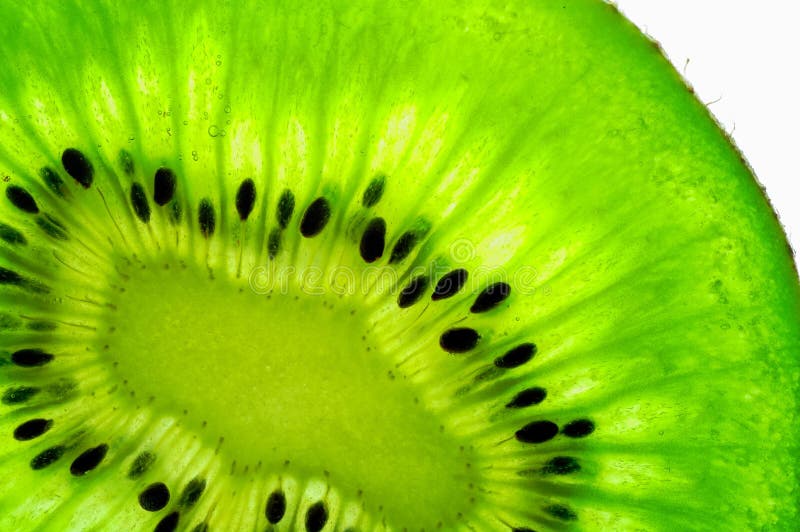 Kiwi fruit slice stock image. Image of fresh, macro, breakfast 2280555