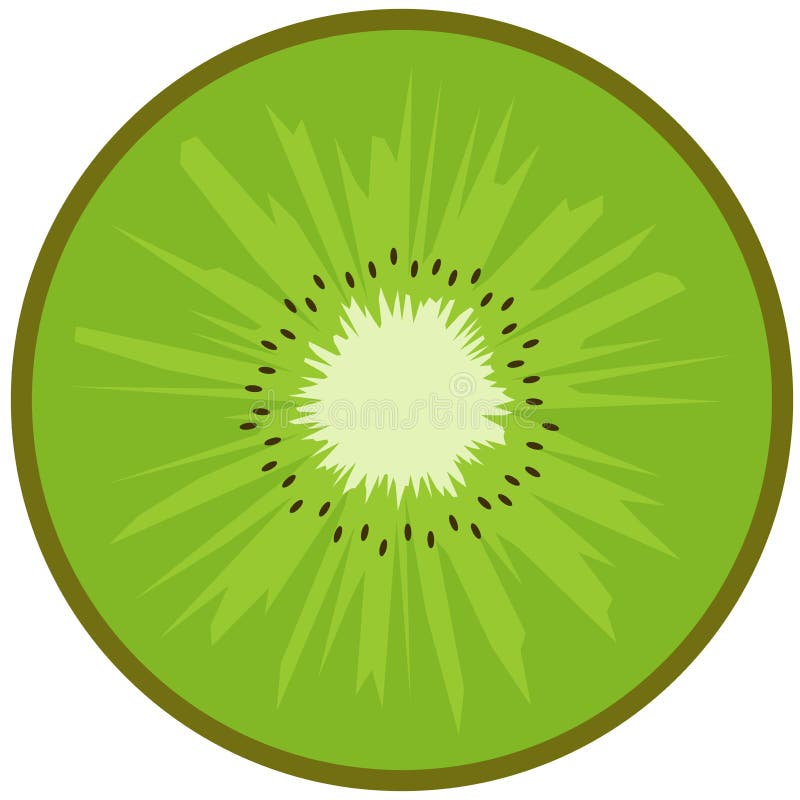 Kiwi fruit stock vector. Illustration of vector, freshness - 35214031