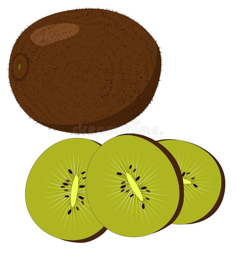 Kiwi Fruit, Kiwi Slices Isolated on White Background. Stock Vector