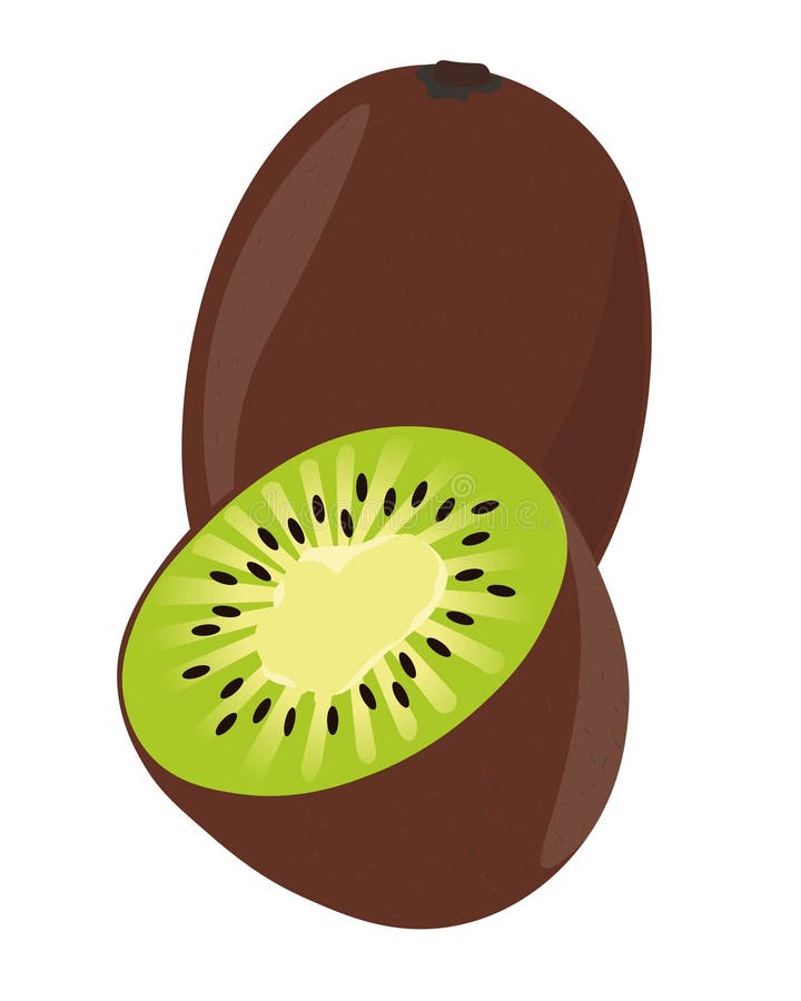 Kiwi Fruit Vector illustrazione Clipart illustrazione di stock