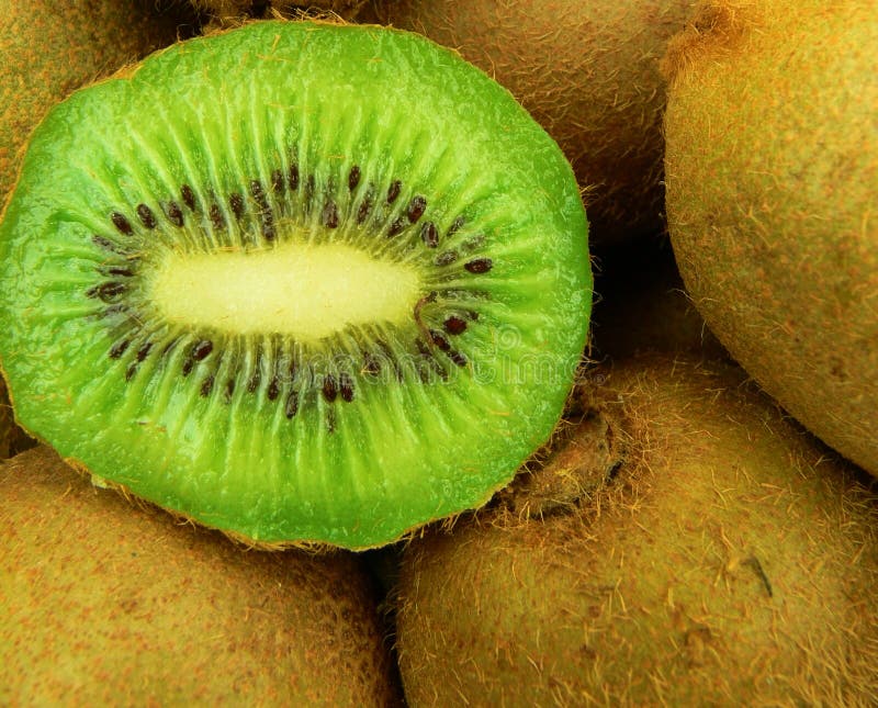 Kiwi Fruits Picture. Image 2338654