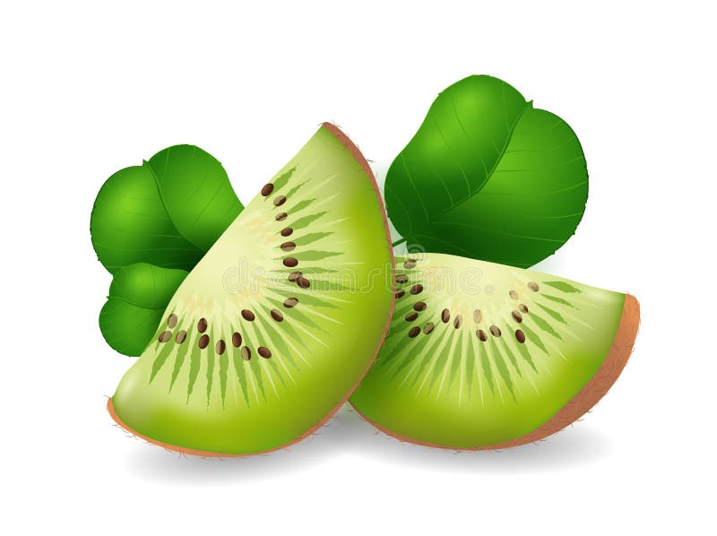 Kiwi frutticoli esotici collezione di frutta con un'illustrazione realistica dei vettoriali illustrazione di stock