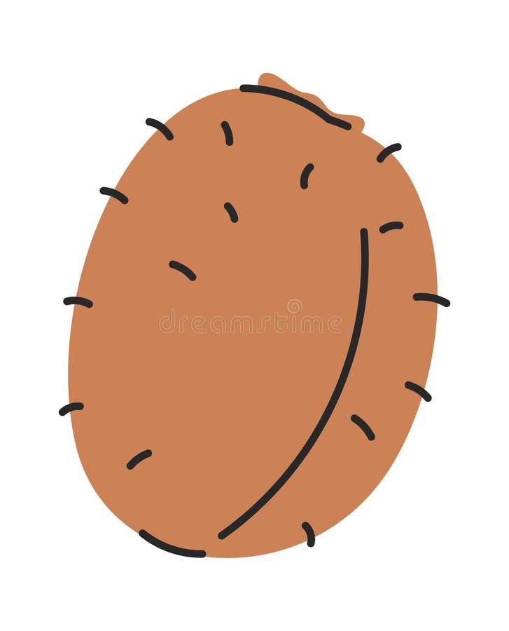 Kiwi interi trafilati a mano illustrazione di stock