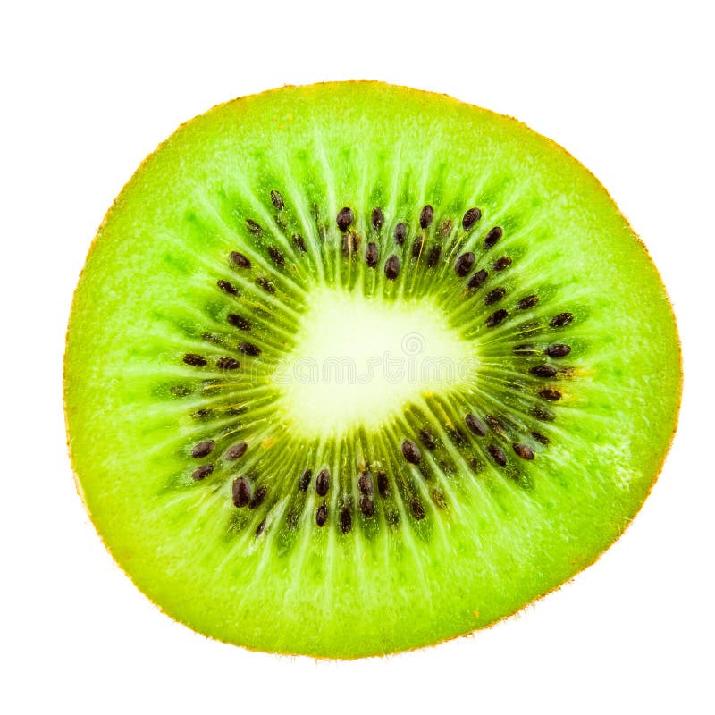Kiwi isolato immagini stock