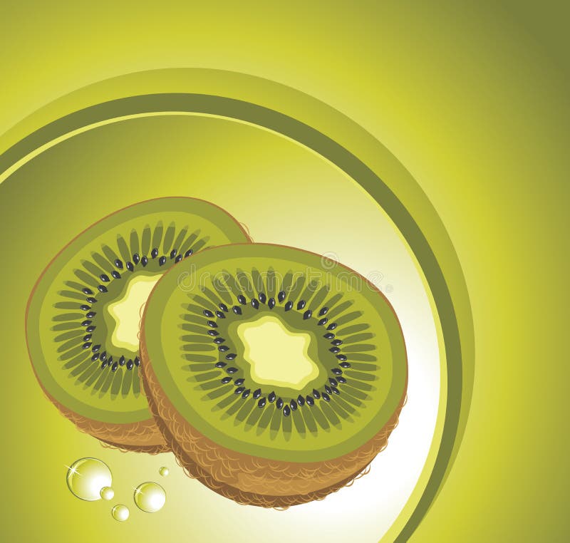 Kiwi maturo illustrazione vettoriale
