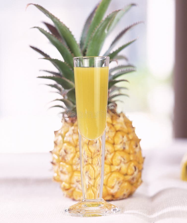 Kiwipineapple cocktail stock photo. Image of style, classical 23703714