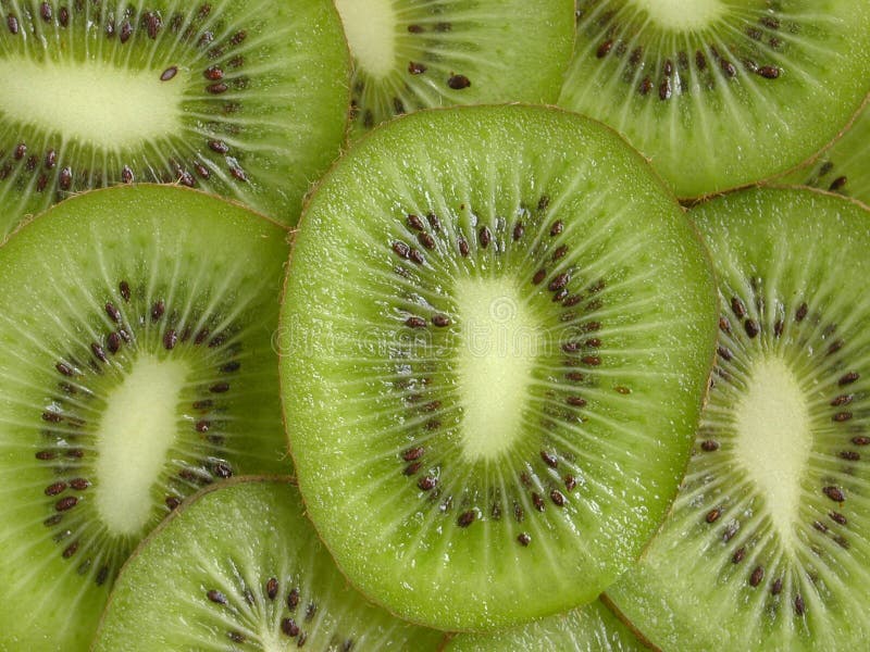 Kiwi-Scheiben lizenzfreies stockfoto Kiwi-Scheiben lizenzfreies stockfoto