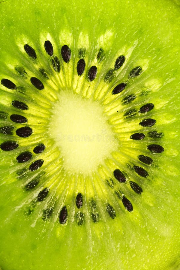 Kiwi Seeds stock photo. Image of nutritious, seed, detail 13290728