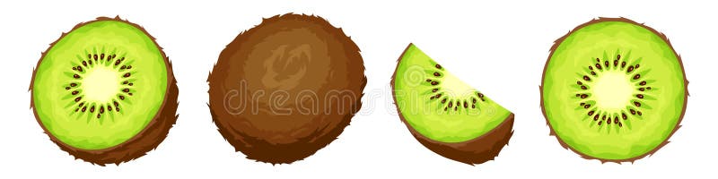 Kiwi. Set di illustrazioni vettoriali illustrazione di stock