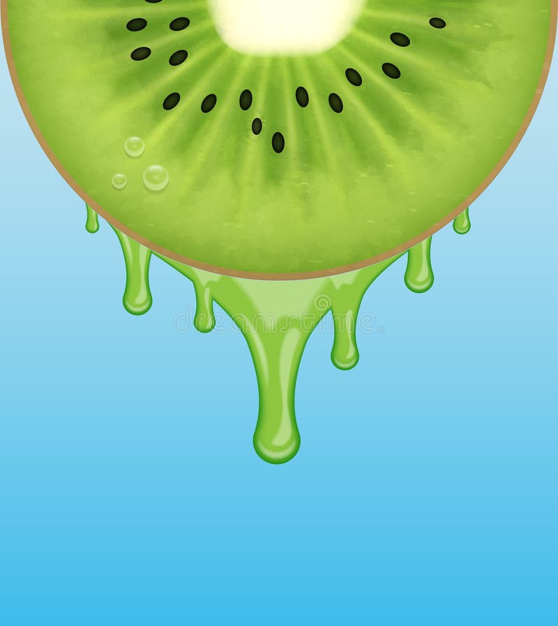 Kiwi slice stock vector. Illustration of fruit, green - 54236677