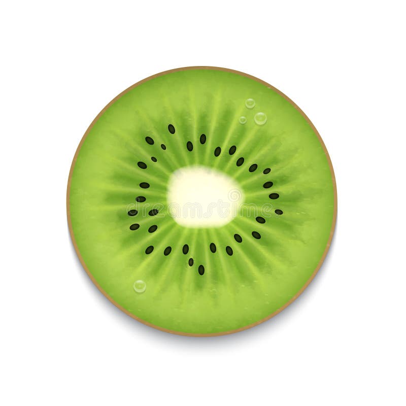 Kiwi slice stock vector. Illustration of healthy, organic 54236868
