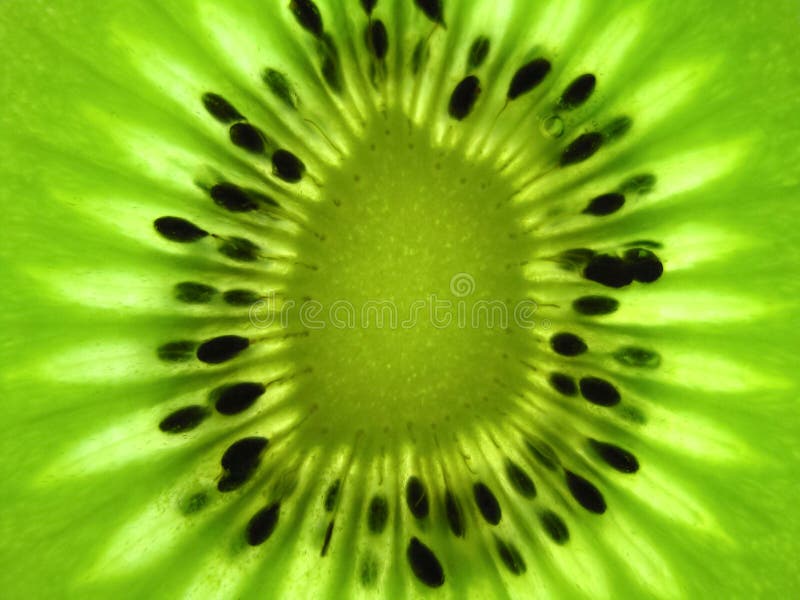 Kiwifruchtscheibe backlit lizenzfreies stockbild Kiwifruchtscheibe backlit lizenzfreies stockbild