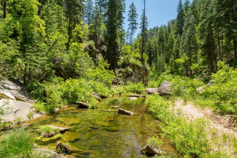 Klarer Westnebenfluß Arizona im Frühjahr stockfoto Klarer Westnebenfluß Arizona im Frühjahr stockfoto