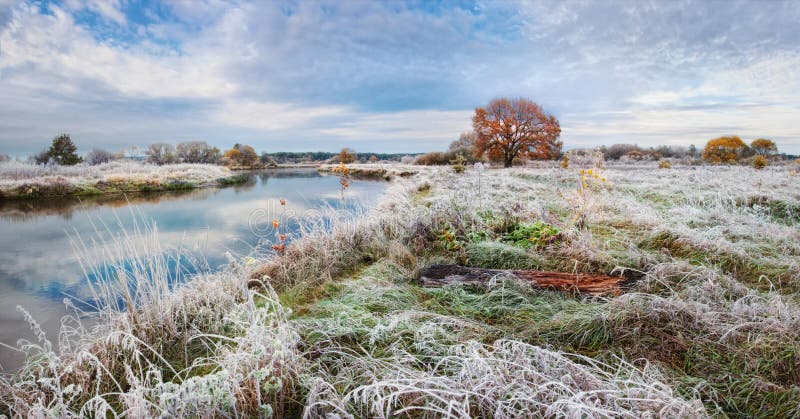 Classic Autumn Landscape With Lonely Orange Oak, Calm River And Frosty Grass And Rime. Frost On The Ground, First Pre-Winter Freeze, Winter Is Coming. Classic Autumn Landscape With Lonely Orange Oak, Calm River And Frosty Grass And Rime. Frost On The Ground, First Pre-Winter Freeze, Winter Is Coming.