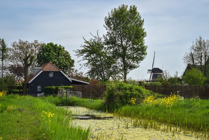 Klassische Szene mit Kanal, Bauernhof und Windmühle in der niederländischen Landschaft im Frühjahr stockbilder Klassische Szene mit Kanal, Bauernhof und Windmühle in der niederländischen Landschaft im Frühjahr stockbilder
