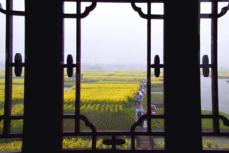 Klassisches Fenster mit Rapsfeldsicht Klassisches Fenster mit Rapsfeldsicht