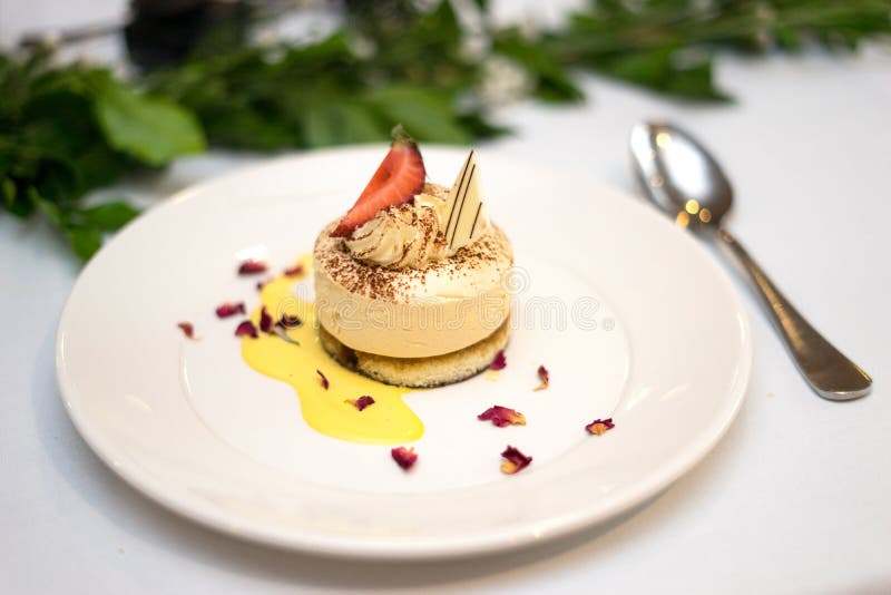 Klassisk espressotiramisu på crèmeanglaiseefterrätten royaltyfri bild Klassisk espressotiramisu på crèmeanglaiseefterrätten royaltyfri bild