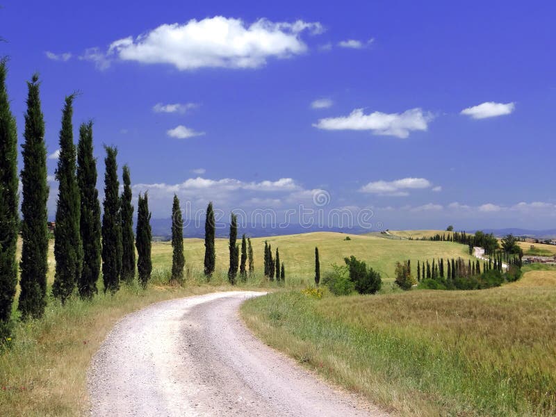 A classic road through the hills of Tuscany. A classic road through the hills of Tuscany