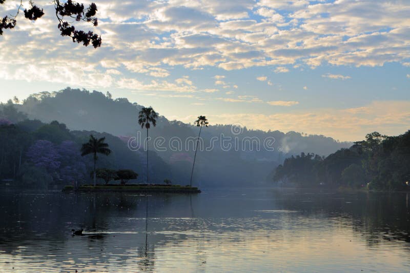 Klein eiland in het Kandy-meer, Sri Lanka royalty-vrije stock afbeeldingen