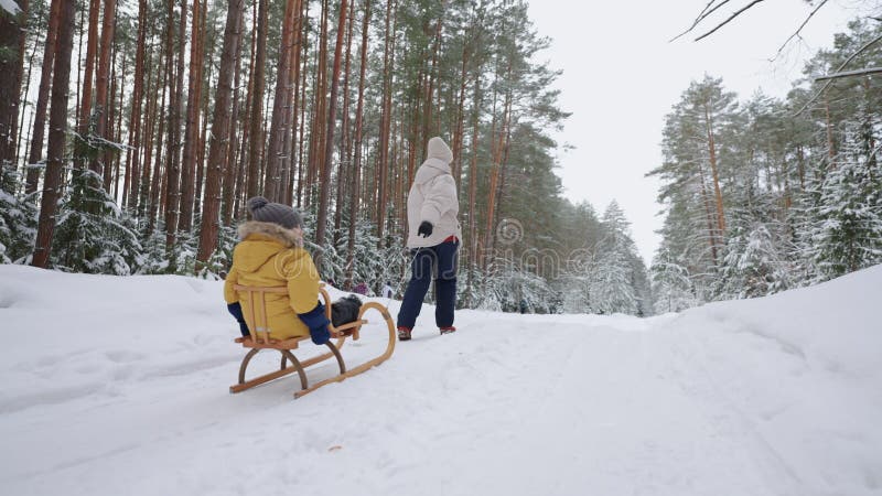 Klein kind rijdt met slee in het sneeuwwoud en vrouw trekt slee in het bos in de winter